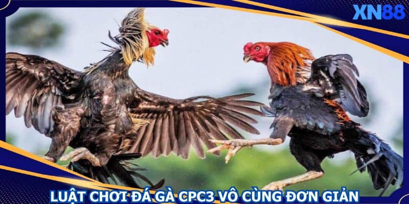 Luật chơi hình thức này cực kỳ đơn giản Luật chơi hình thức này cực kỳ đơn giản