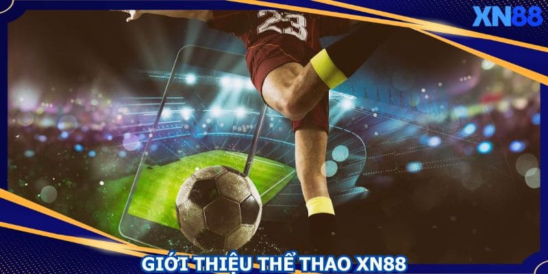 Chuyên mục thể thao XN88 luôn thu hút nhiều người chơi Chuyên mục thể thao XN88 luôn thu hút nhiều người chơi