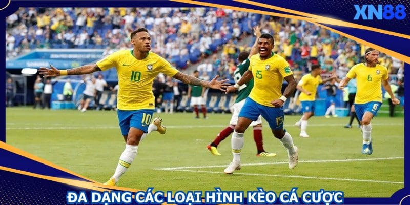 Thành viên có nhiều loại hình cá cược kèo tỷ số bóng đá Thành viên có nhiều loại hình cá cược kèo tỷ số bóng đá