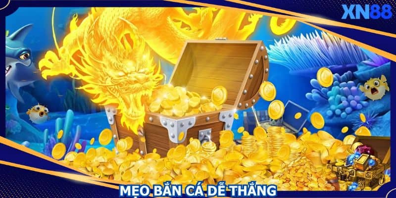 Vận dụng một cách linh hoạt các kỹ năng săn cá Vận dụng một cách linh hoạt các kỹ năng săn cá